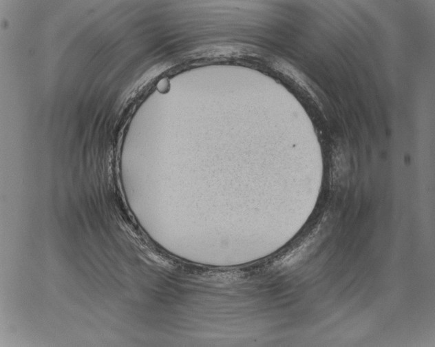 X0000066960778200604211840