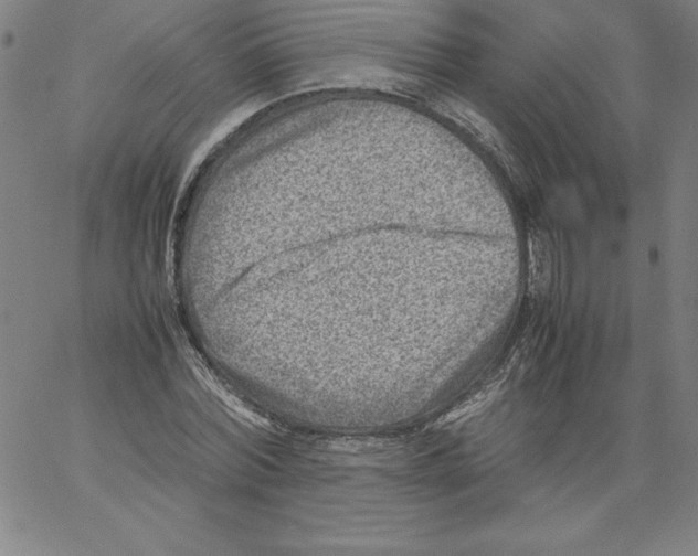 X0000066960780200604211840