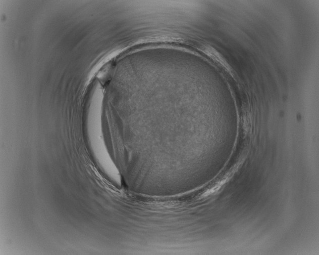 X0000066960781200604211840