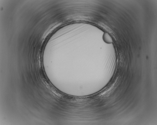 X0000066960782200604211840