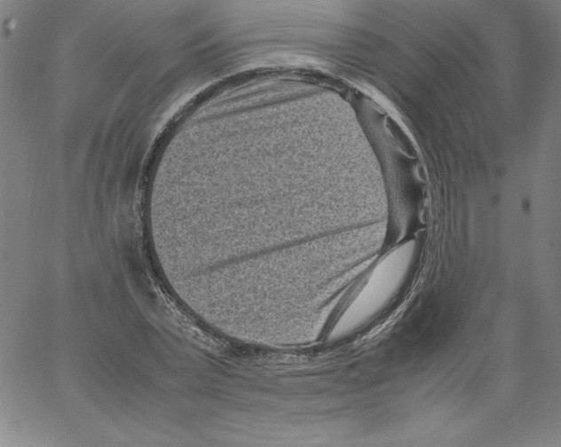 X0000066960783200604211840