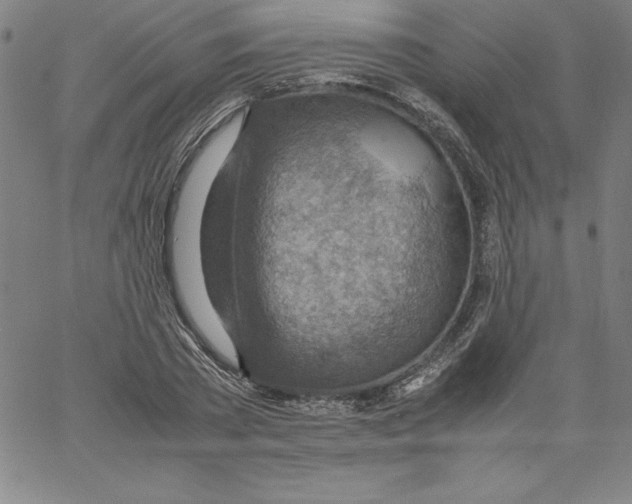 X0000066960785200604211840