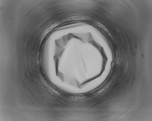 X0000066960786200604211840