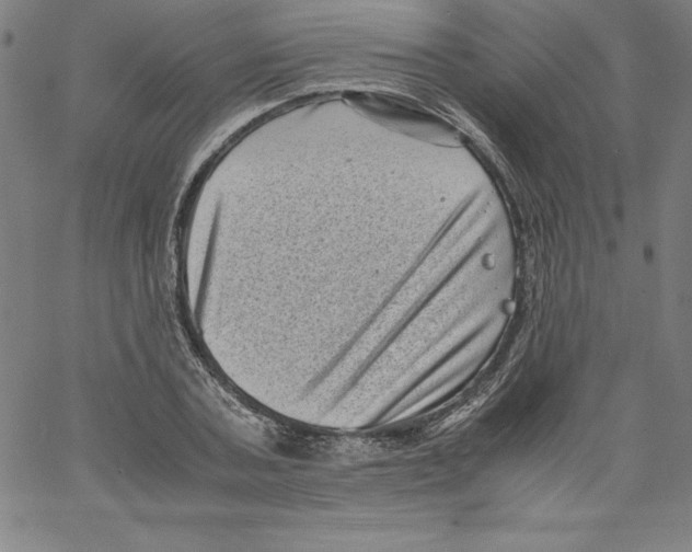 X0000066960787200604211840