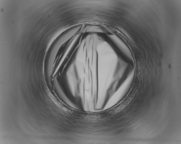 X0000066960788200604211840