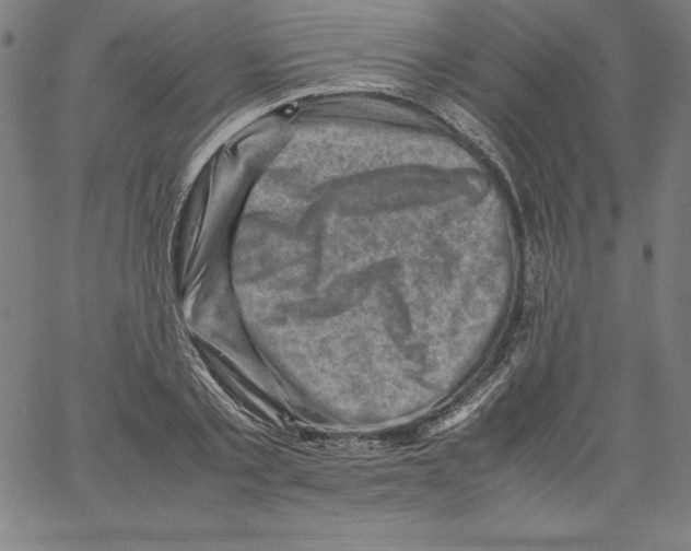 X0000066960789200604211840