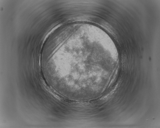 X0000066960790200604211840