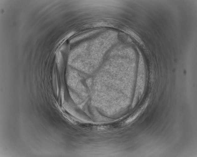 X0000066960793200604211840