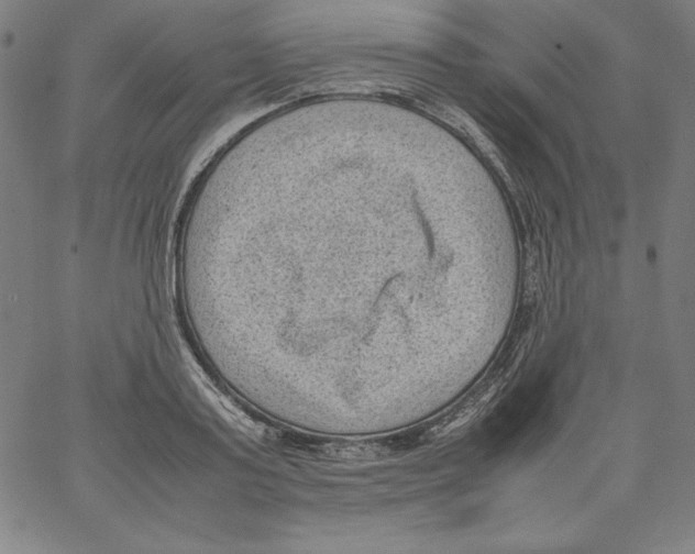 X0000066960795200604211840