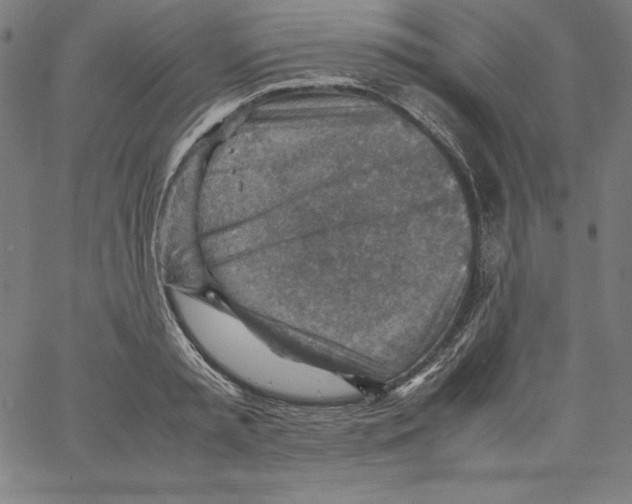 X0000066960797200604211840