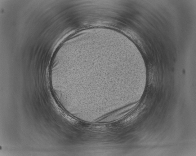 X0000066960798200604211840