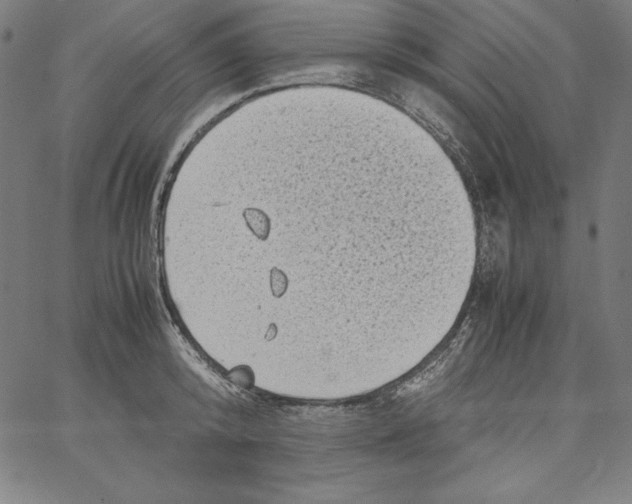 X0000066960800200604211840