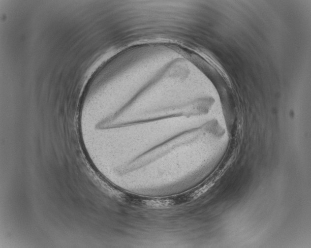 X0000066960805200604211840