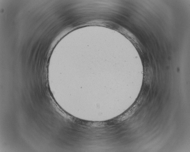 X0000066960808200604211840