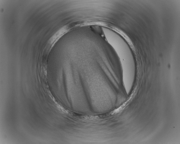 X0000066960809200604211840