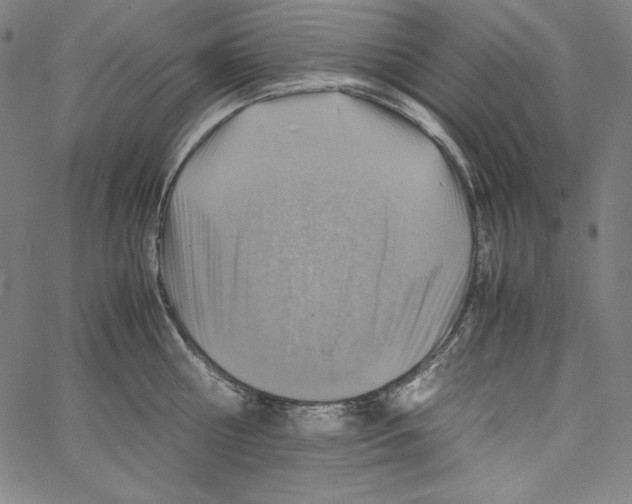 X0000066960810200604211840