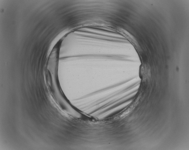 X0000066960812200604211840