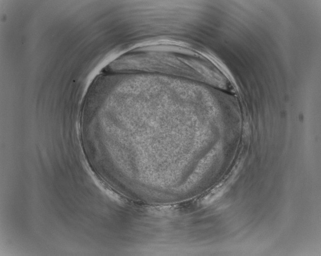 X0000066960813200604211840