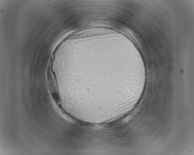 X0000066960814200604211840