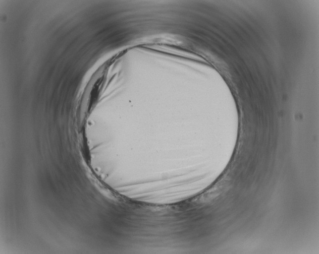 X0000066960816200604211840