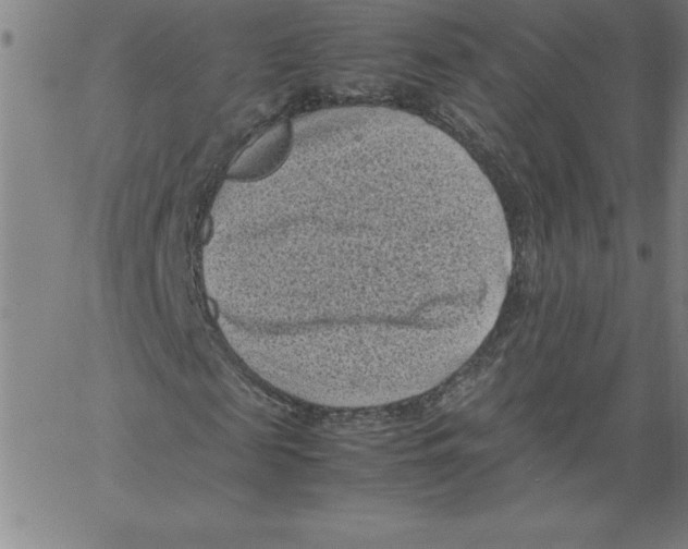 X0000066960817200604211839