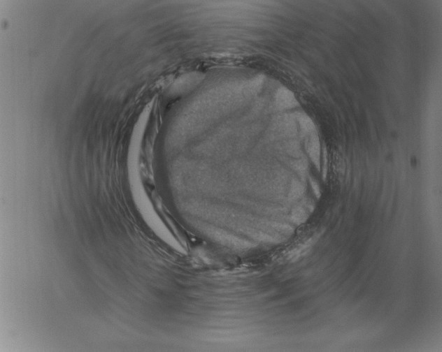 X0000066960818200604211839