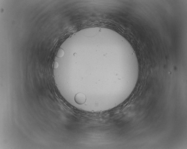 X0000066960820200604211839