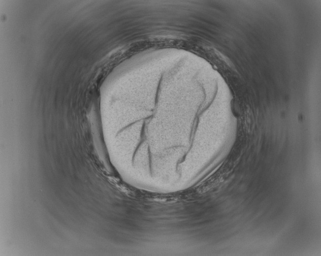 X0000066960821200604211839