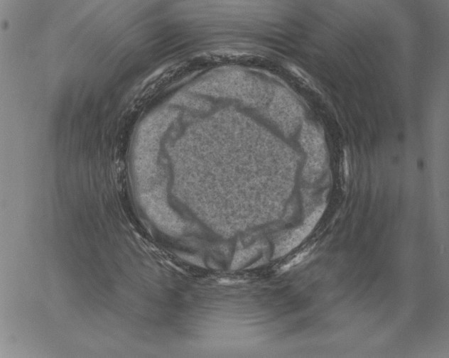 X0000066960822200604211839