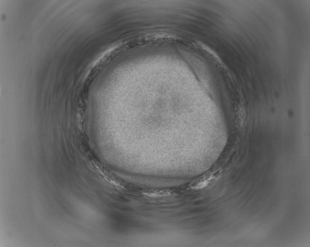 X0000066960823200604211839