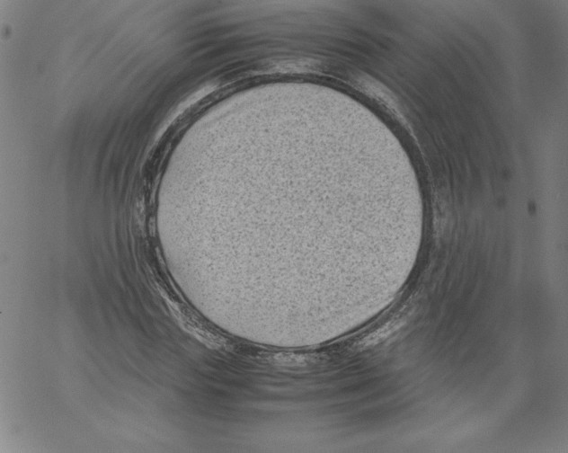 X0000066960827200604211839