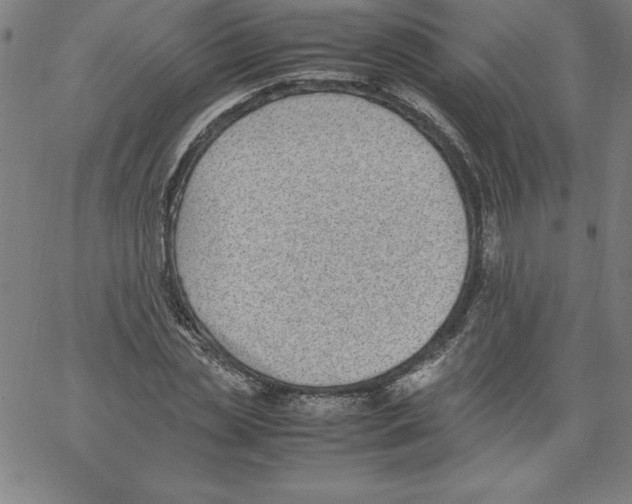 X0000066960829200604211839