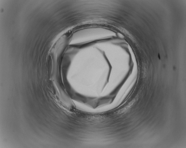 X0000066960830200604211839