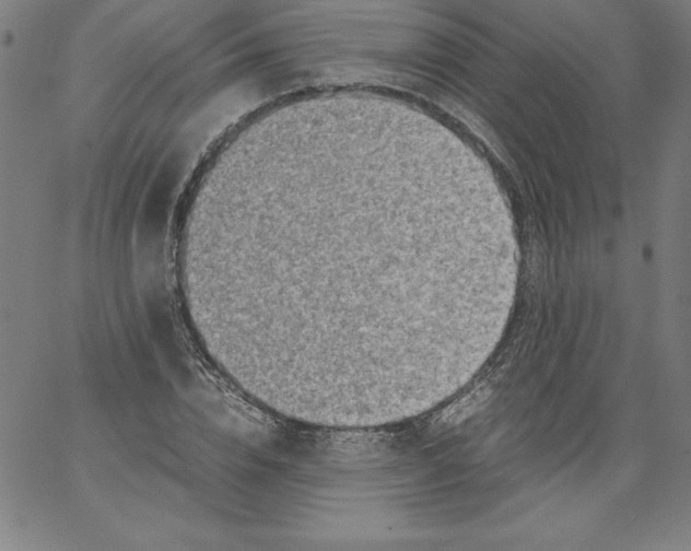 X0000066960832200604211839