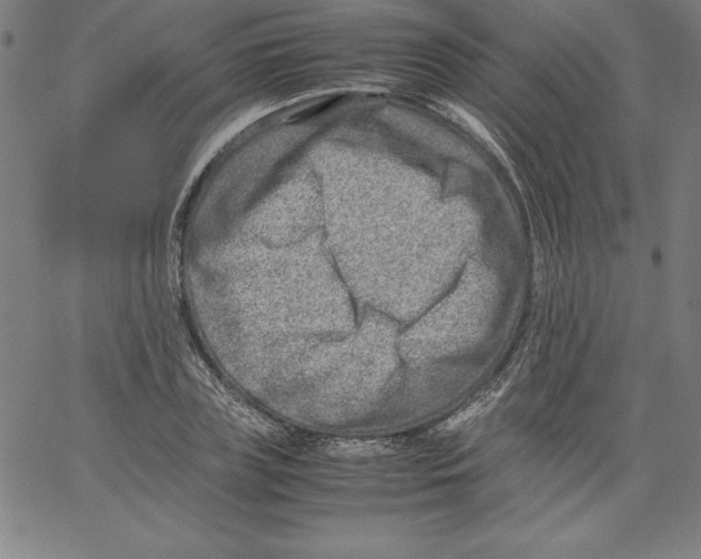 X0000066960835200604211839