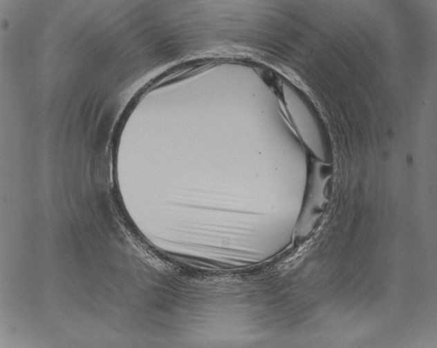 X0000066960838200604211839