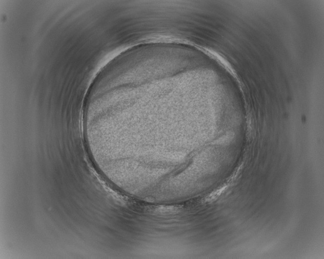 X0000066960839200604211839