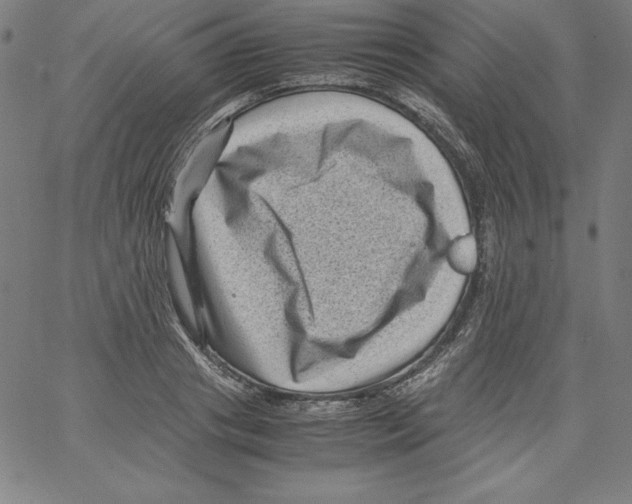 X0000066960841200604211839