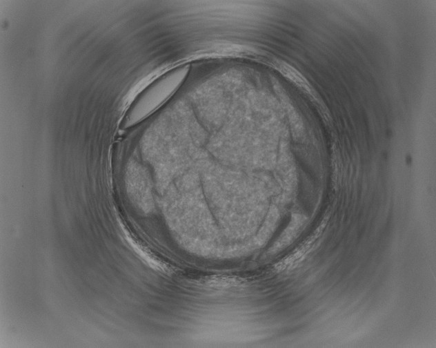 X0000066960842200604211839