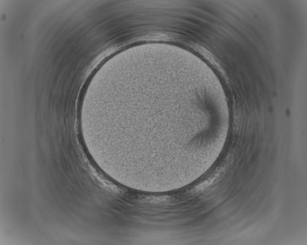 X0000066960845200604211839