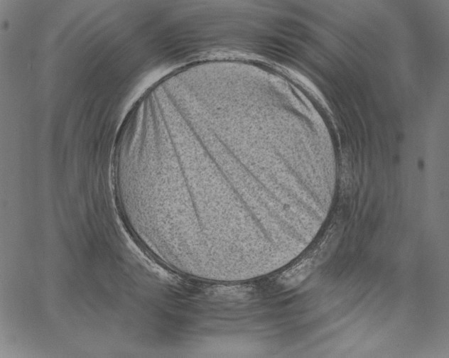 X0000066960847200604211839