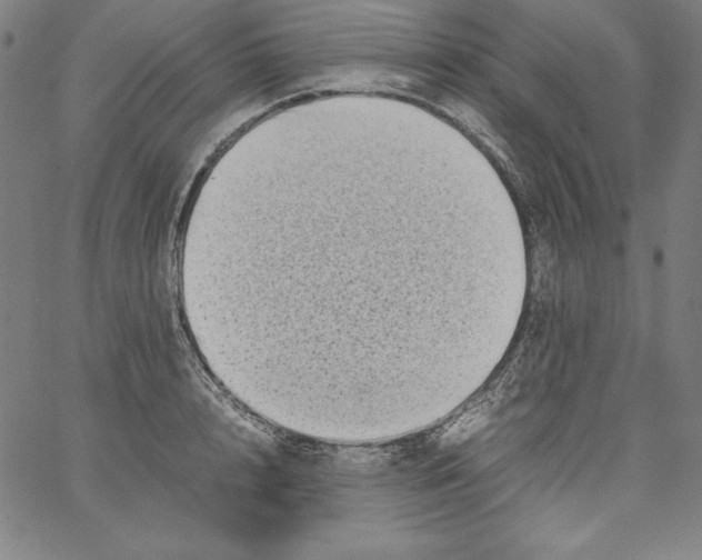 X0000066960848200604211839