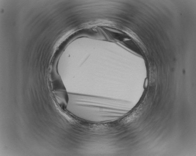 X0000066960850200604211839