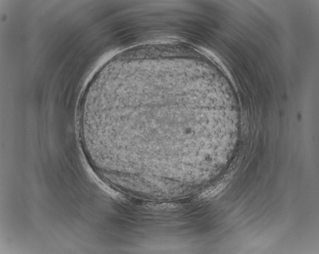 X0000066960851200604211839