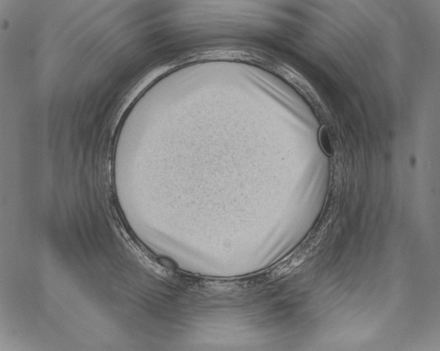 X0000066960852200604211839