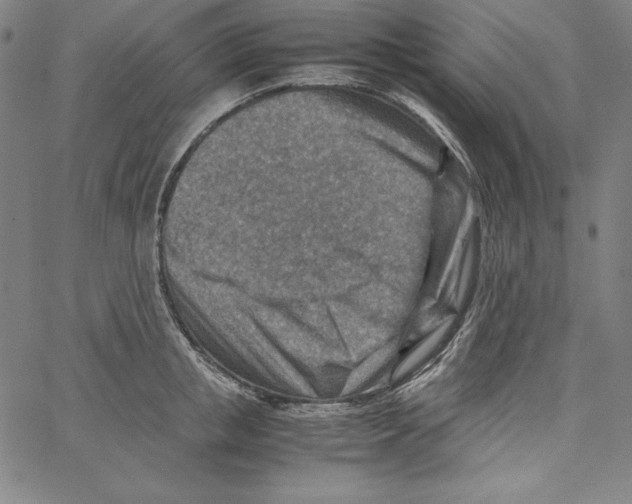 X0000066960853200604211839