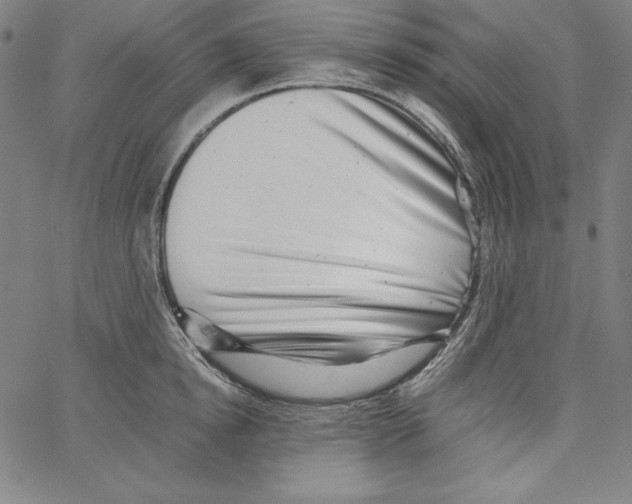 X0000066960854200604211839