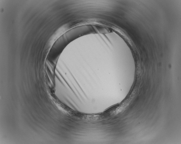 X0000066960858200604211839