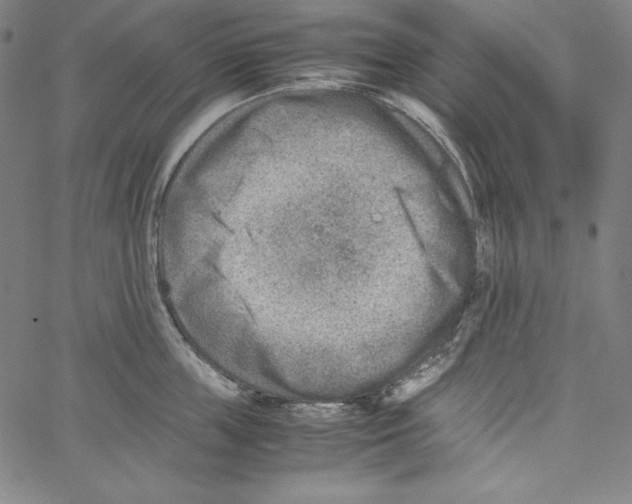 X0000066960859200604211839