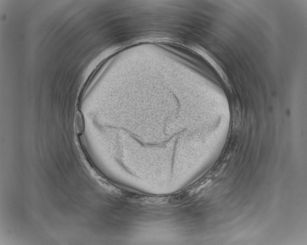 X0000066960861200604211839